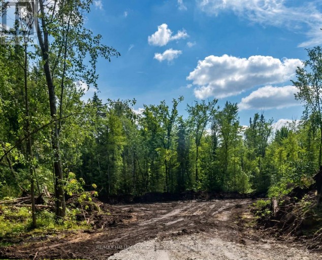 6905 COUNTY ROAD 21, Essa, Ontario, L9R1V2