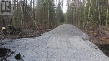 6905 COUNTY ROAD 21 Essa Ontario photo 9