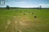 LOT 13 FRONT ROAD, Loyalist (amherst Island), Ontario, K0H2S0 (ID X13589266)