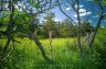 LOT 13 FRONT ROAD, Loyalist (amherst Island), Ontario, K0H2S0 (ID X13589266)