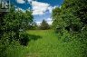 LOT 13 FRONT ROAD, Loyalist (amherst Island), Ontario, K0H2S0 (ID X13589266)