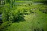 LOT 13 FRONT ROAD, Loyalist (amherst Island), Ontario, K0H2S0 (ID X13589266)