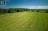 LOT 13 FRONT ROAD, Loyalist (amherst Island), Ontario, K0H2S0 (ID X13589266)