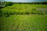 LOT 13 FRONT ROAD, Loyalist (amherst Island), Ontario, K0H2S0 (ID X13589266)