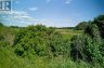 LOT 13 FRONT ROAD, Loyalist (amherst Island), Ontario, K0H2S0 (ID X13589266)