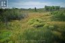 LOT 13 FRONT ROAD, Loyalist (amherst Island), Ontario, K0H2S0 (ID X13589266)
