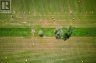 LOT 13 FRONT ROAD, Loyalist (amherst Island), Ontario, K0H2S0 (ID X13589266)