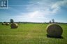 LOT 13 FRONT ROAD, Loyalist (amherst Island), Ontario, K0H2S0 (ID X13589266)