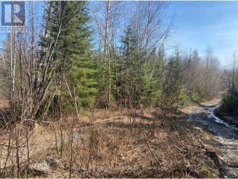 PCL 10742 MCGARRY Timiskaming (TIM - Outside - Rural) Ontario photo 3