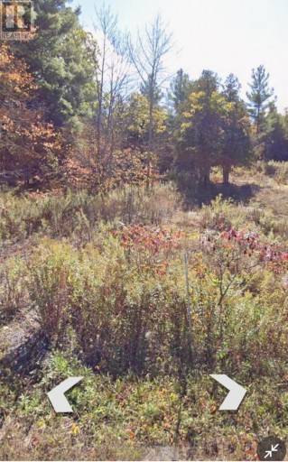82 GLEN RIDGE ROAD, Marmora and Lake (Marmora Ward), Ontario, K0K2M0