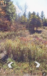 82 GLEN RIDGE ROAD Marmora and Lake (Marmora Ward) Ontario photo 2
