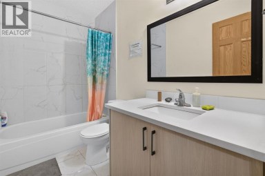 319 Rundlelawn Road NE Calgary Alberta photo 13