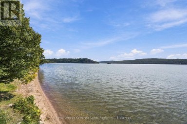 51 BUELOW ROAD Bonnechere Valley Ontario photo 40