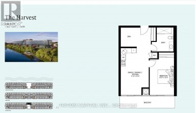 201 - 350 PRINCE CHARLES DRIVE S Welland (Broadway) Ontario photo 2