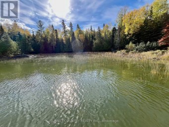 0 EAGLE LAKE Machin (TB-612) Ontario photo 20