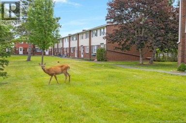 31 Wasson Court Saint John New Brunswick photo 2