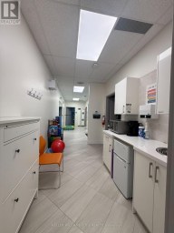 51 BENTON STREET Kitchener Ontario photo 18