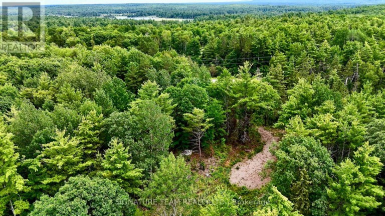 1011 Mcgrath Road, Bonnechere Valley, Ontario (id X13594420)