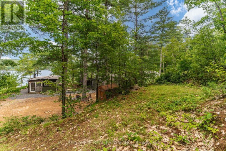 17568 HWY #41, Addington Highlands (Addington Highlands), Ontario, K0H1K0