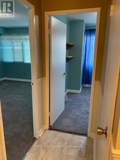 604 - 50 ELM DRIVE E, Mississauga (Mississauga Valleys), Ontario, L5A3X2