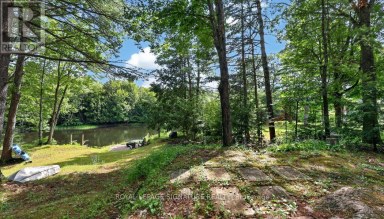26 BAKER LANE Kawartha Lakes (Dalton) Ontario photo 27