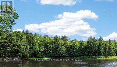26 BAKER LANE Kawartha Lakes (Dalton) Ontario photo 28