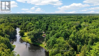 26 BAKER LANE Kawartha Lakes (Dalton) Ontario photo 29