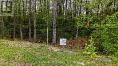 LOT 11 MILLIE'S WAY, Armour, Ontario