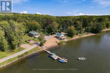 51 BUELOW ROAD Bonnechere Valley Ontario photo 45