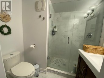 LOWER - 43 TOMLIN CRESCENT Richmond Hill (North Richvale) Ontario photo 4