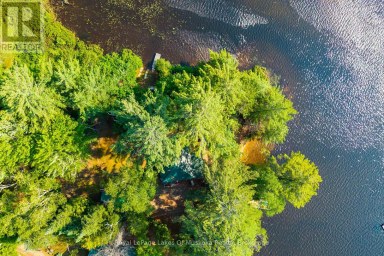 1015 GOODLIFE LANE, Algonquin Highlands (Sherborne), Ontario
