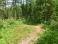 1230 OLD DONALD ROAD, Dysart Et Al (dysart), Ontario, K0M1S0 (ID X13599722)