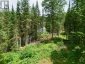 1230 OLD DONALD ROAD, Dysart Et Al (dysart), Ontario, K0M1S0 (ID X13599722)