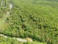 1230 OLD DONALD ROAD, Dysart Et Al (dysart), Ontario, K0M1S0 (ID X13599722)