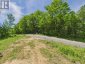 1230 OLD DONALD ROAD, Dysart Et Al (dysart), Ontario, K0M1S0 (ID X13599722)