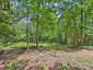 1230 OLD DONALD ROAD, Dysart Et Al (dysart), Ontario, K0M1S0 (ID X13599722)