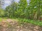 1230 OLD DONALD ROAD, Dysart Et Al (dysart), Ontario, K0M1S0 (ID X13599722)