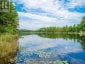 #8 - 1006 YOUNGS ROAD, Muskoka Lakes (medora), Ontario, P0B1J0 (ID X13600634)