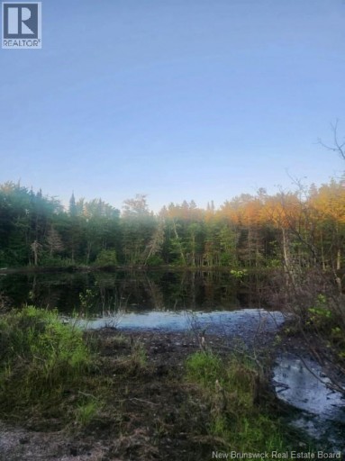 37.8 Hec Bettsburg Road, Bettsburg, New Brunswick, E9C1L1