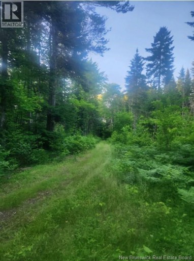 37.8 Hec Bettsburg Road, Bettsburg, New Brunswick, E9C1L1