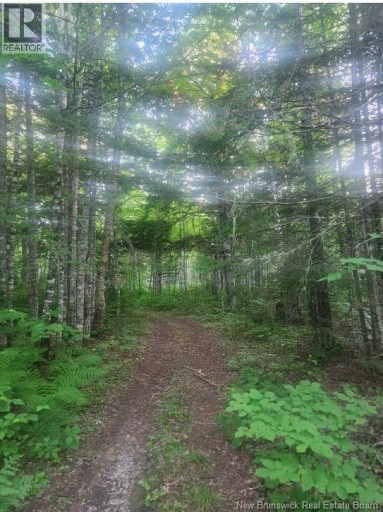 37.8 Hec Bettsburg Road, Bettsburg, New Brunswick, E9C1L1