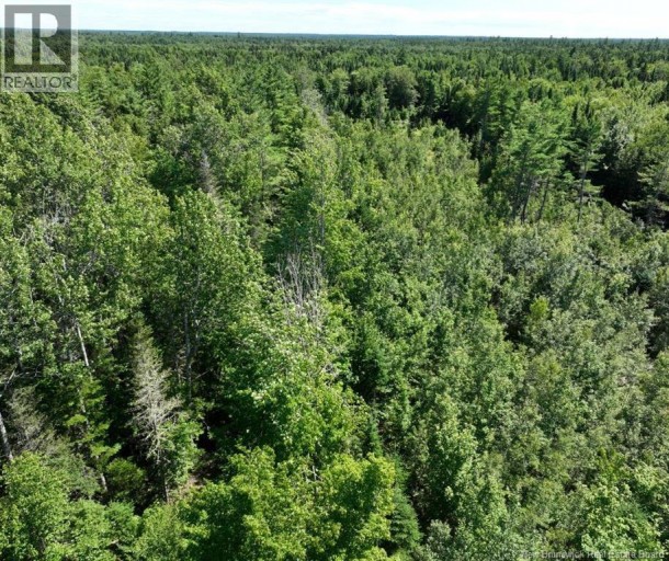 37.8 Hec Bettsburg Road, Bettsburg, New Brunswick, E9C1L1