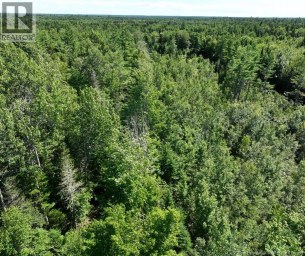 37.8 Hec Bettsburg Road Bettsburg New Brunswick photo 19