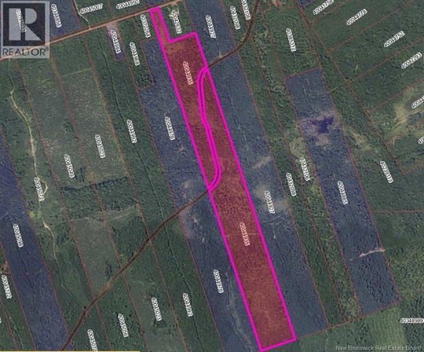 37.8 Hec Bettsburg Road, Bettsburg, New Brunswick, E9C1L1