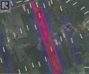 37.8 Hec Bettsburg Road Bettsburg New Brunswick photo 3