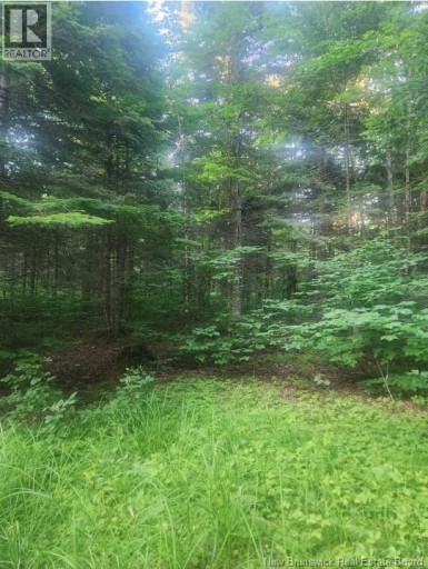 37.8 Hec Bettsburg Road, Bettsburg, New Brunswick, E9C1L1