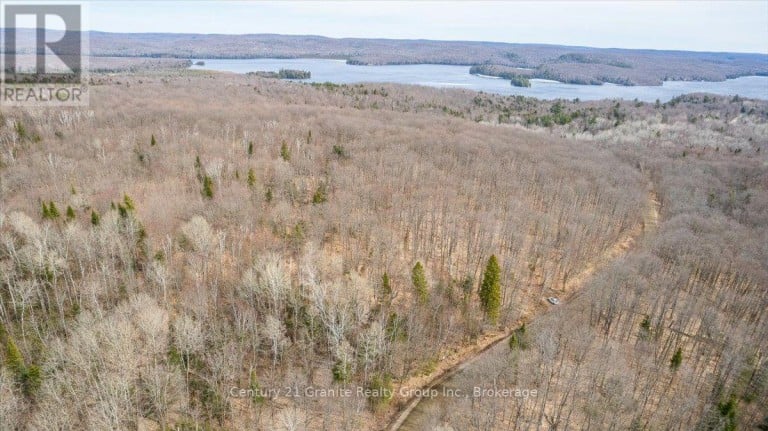 99 FOREST VIEW ROAD, Bancroft (Bancroft Ward), Ontario, K0L1C0