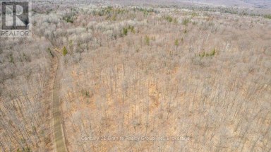 99 FOREST VIEW ROAD Bancroft (Bancroft Ward) Ontario photo 27