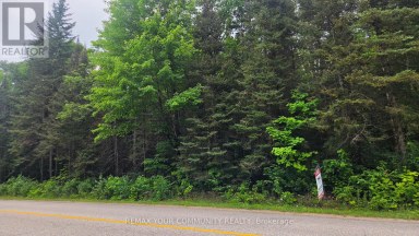 CON 2 PT LT 19 HWY 518 Kearney (Proudfoot) Ontario photo 1