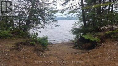 CON 2 PT LT 19 HWY 518 Kearney (Proudfoot) Ontario photo 3